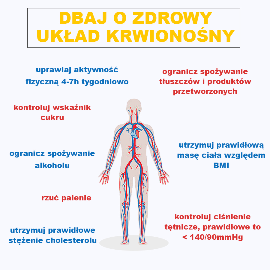 Choroby układu krążenia – przyczyny, objawy, rehabilitacja